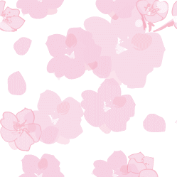 桜の壁紙-1