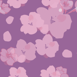 桜の壁紙-4