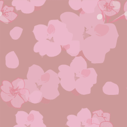桜の壁紙-5